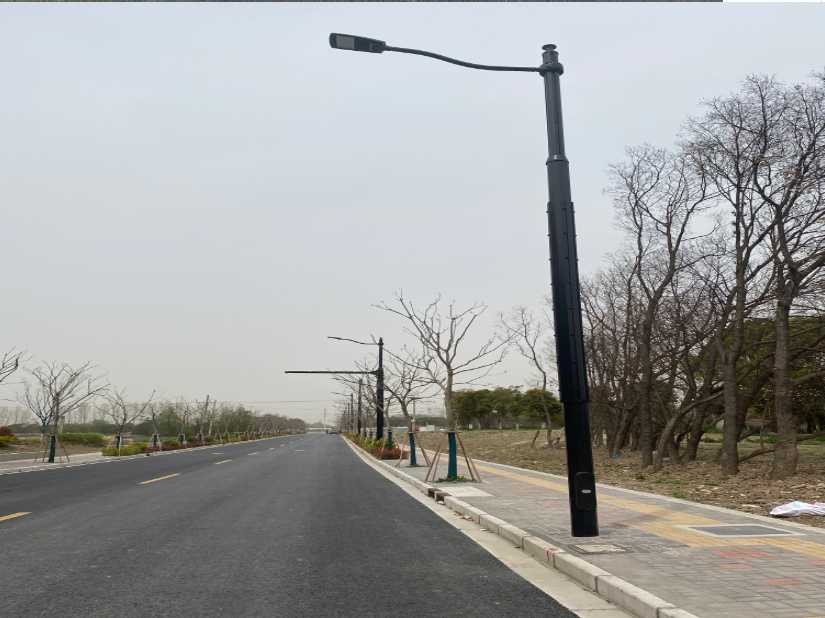 兴庆区上海综合杆 太阳能路灯工程